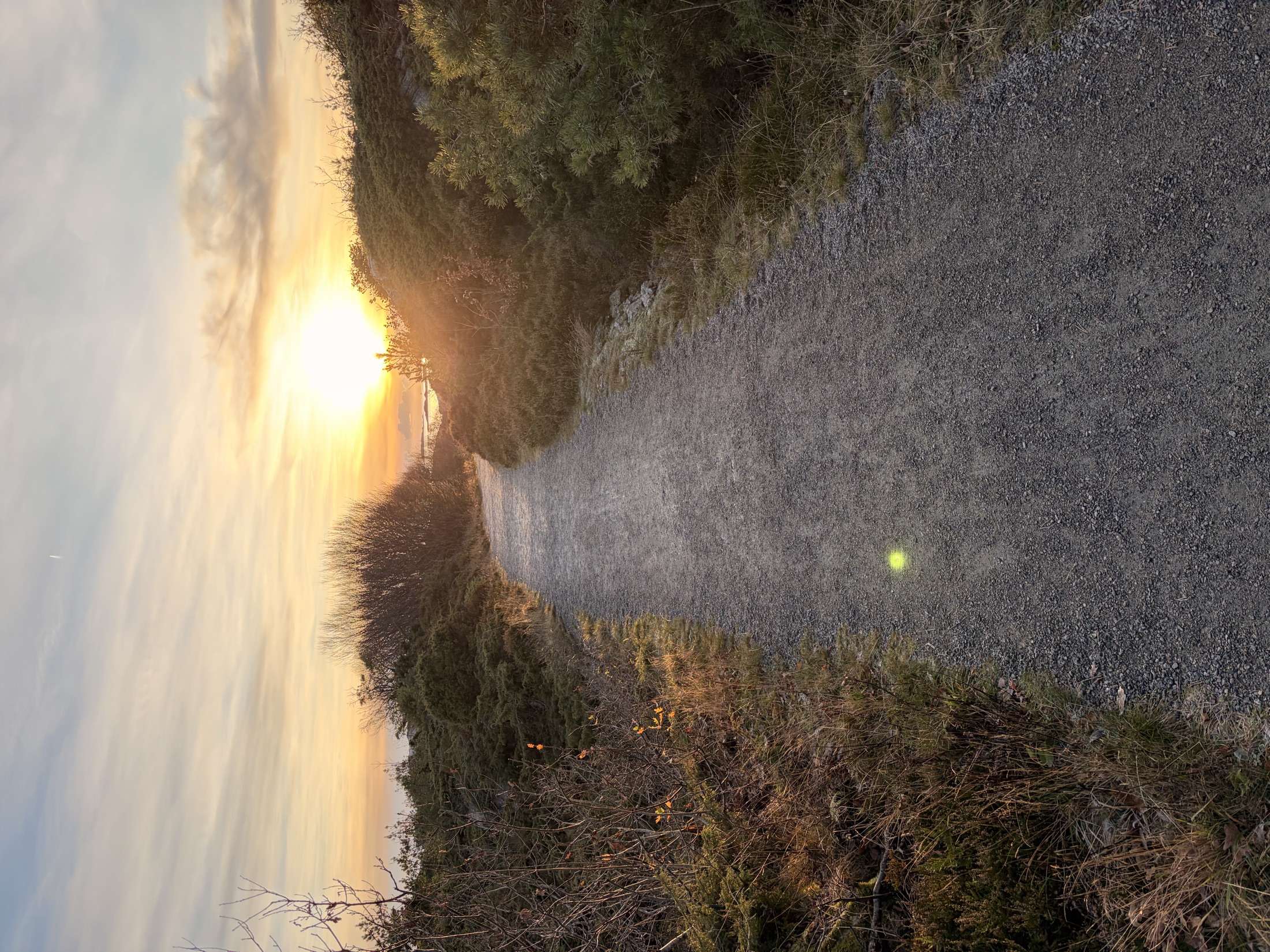 Coastal path at sunrise